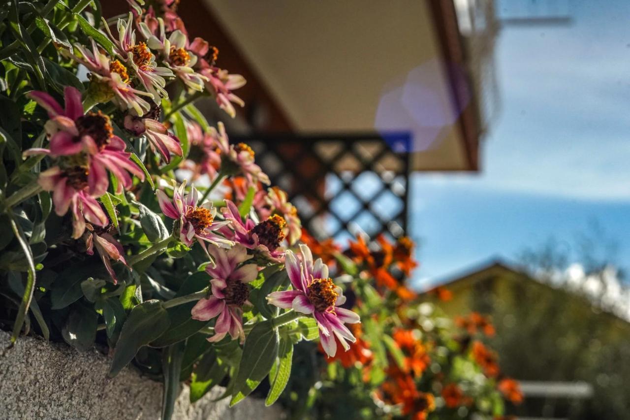 Agriturismo La Rocca San Bartolomeo Al Mare Eksteriør billede